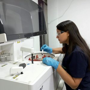 hematologia