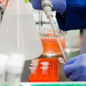 PCR